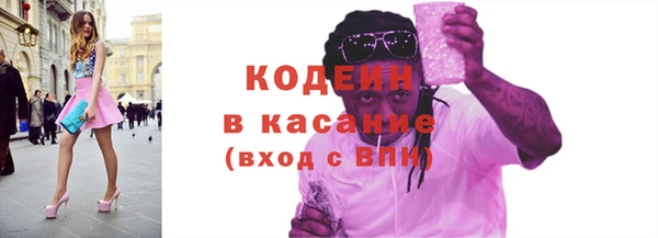 молекула духа Арсеньев