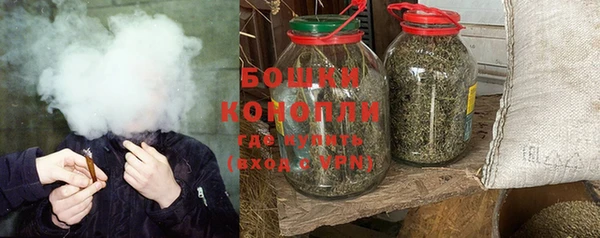 не бодяженный Новозыбков