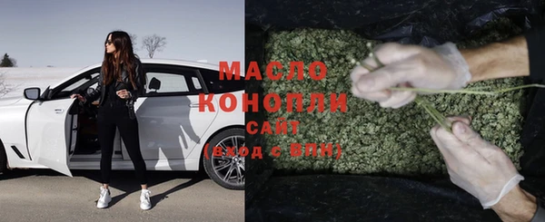 молекула духа Арсеньев